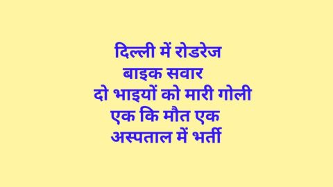 दिल्ली में रोडरेज में बाइक सवार दो भाइयों को मारी गोली , एक कि मौत एक अस्पताल में भर्ती ।