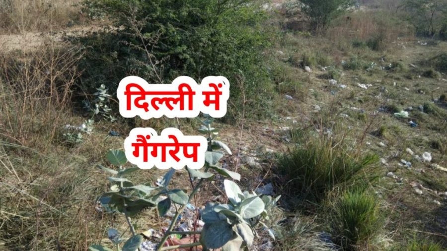 Rohini Rape Spot Image