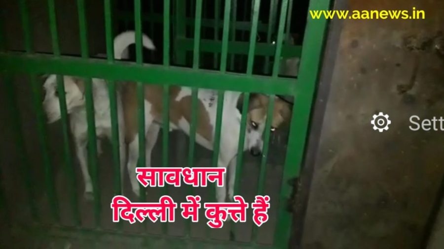 Shalimar Bagh Delhi