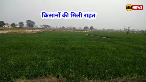 इस बार का बजट गरीब व किसानों का बजट है– रजनीश त्यागी, सदस्य राष्ट्रीय कार्यकारिणी किसान मोर्चा बीजेपी।