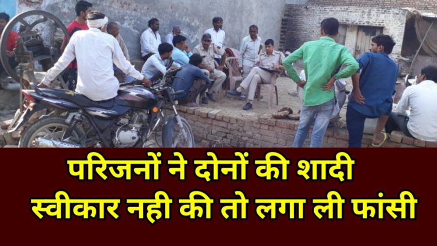 Bkhtawarpur Alipur Delhi 110036