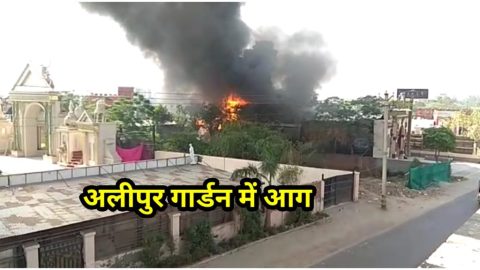 अलीपुर गार्डन में आग ।