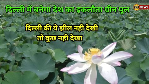 यमुना बायोडायवर्सिटी पार्क और इसकी सुंदर झील