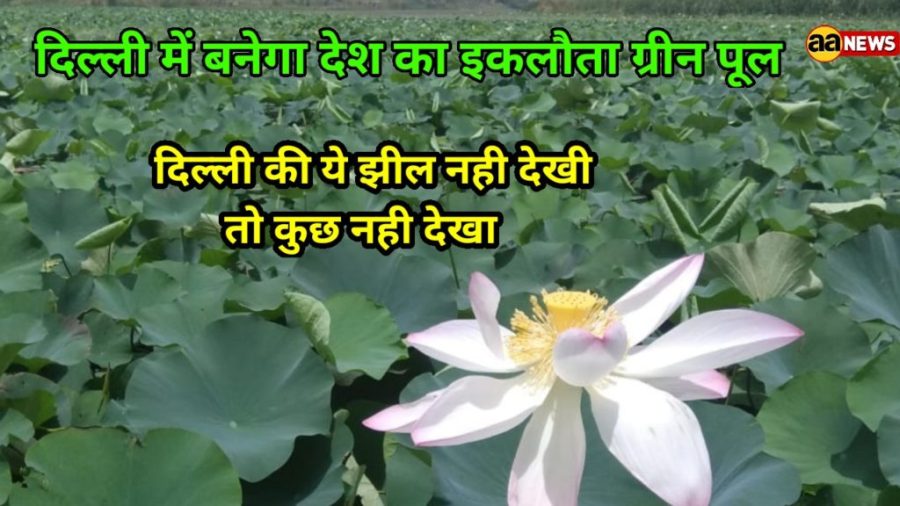 Yamuna Biodiversity Park Lake Delhi
