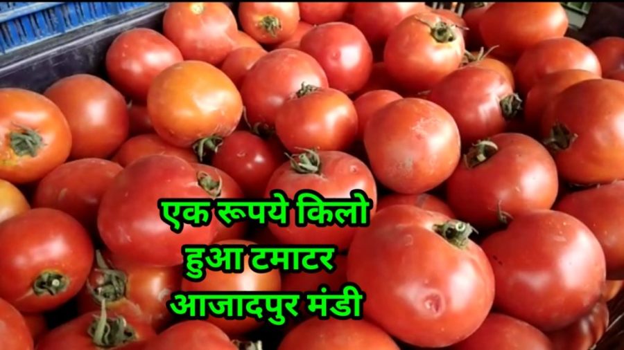 Ajadpur Mandi Delhi