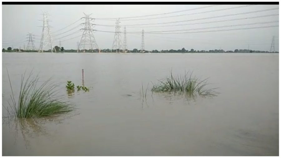 Delhi Yamuna at Plla Jhangola