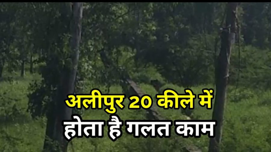 Alipur Delhi 110036