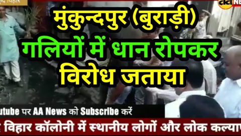 दिल्ली की एक कालोनी की गली में लोगों ने लगाई धान की फसल