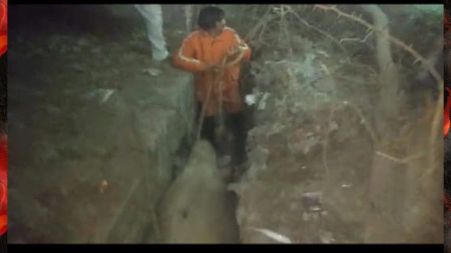 Ibrahim pur Bull Rescue