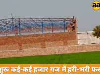 Hammidpur Village Alipur Division Delhi 110036