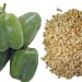 ommon Name Bell pepper, sweet pepper, Capsicum, pepper, bell pepper, banana Capsicum, Shimla Mirchi or Bhopli Mirchi, Green Capsicum | Hari Shimla Mirch | Chilli seeds | Vegetable Sweet pepper | organic seeds | bell pepper seed |