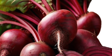 Beetroot chukandar Seeds | TABLE BEET/ GARDEN BEET/ RED BEET