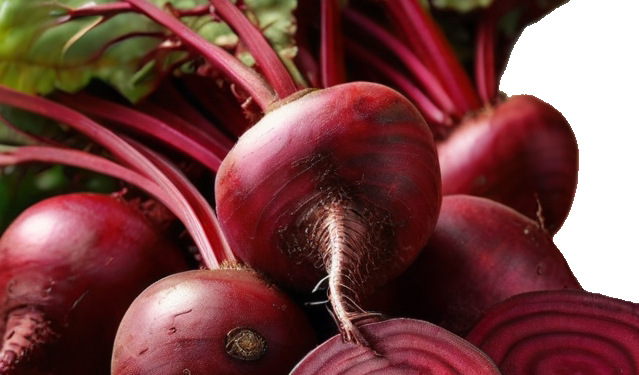 Beetroot chukandar Seeds | TABLE BEET/ GARDEN BEET/ RED BEET