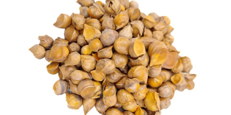 Kashmiri Lehsun | Snow Mountain Garlic | Allium sativum | Himalayan Single Clove Garlic | Snow Mountain Garlic || Snow mountain single clove Garlic | Ek Pothiya lahsun