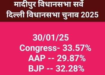 Madipur Vidhansabha Election Survey