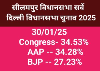 Seelampur Vidhansabha Survey