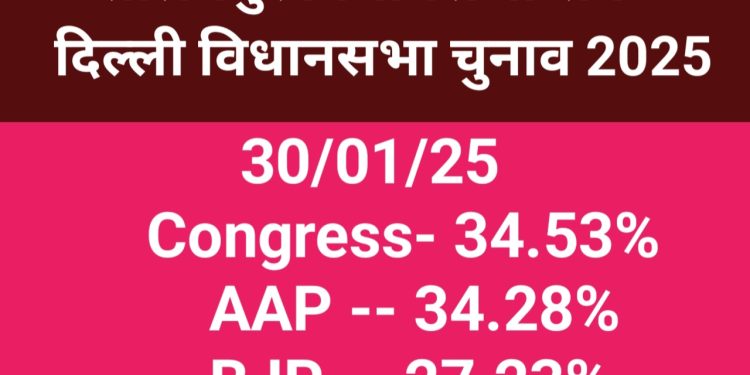 Seelampur Vidhansabha Survey