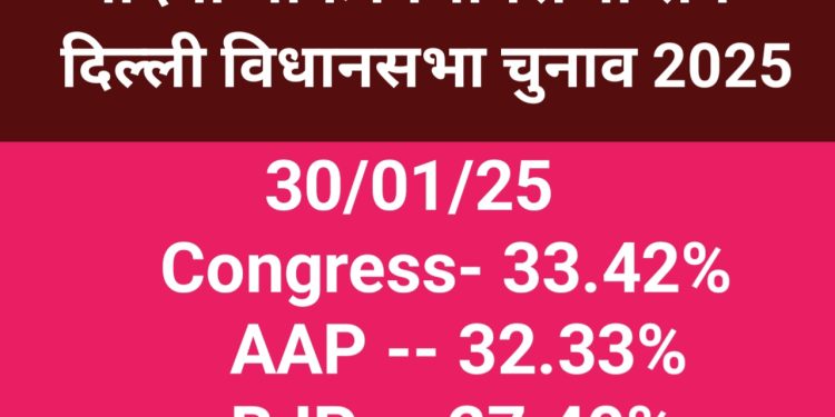 Chandani Chowk Vidhansabha Survery