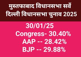 Mustafabad Vidhansabha Delhi Survey