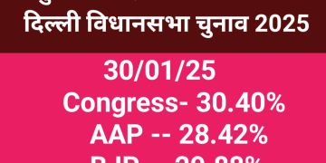 Mustafabad Vidhansabha Delhi Survey