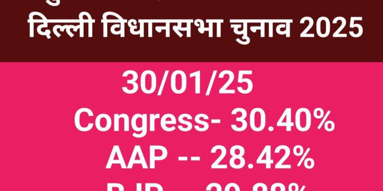 Mustafabad Vidhansabha Delhi Survey