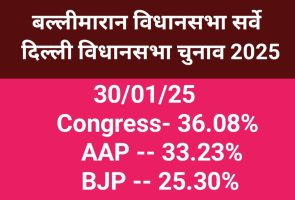 Ballimaram Vidhansabha Survey