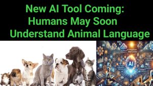 New AI Tool Coming: Humans May Soon Understand Animal Language