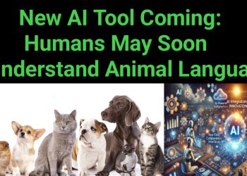 New AI Tool Coming: Humans May Soon Understand Animal Language