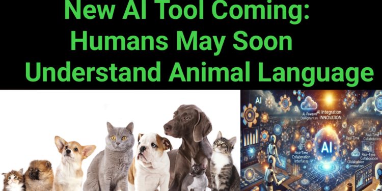 New AI Tool Coming: Humans May Soon Understand Animal Language