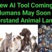 New AI Tool Coming: Humans May Soon Understand Animal Language